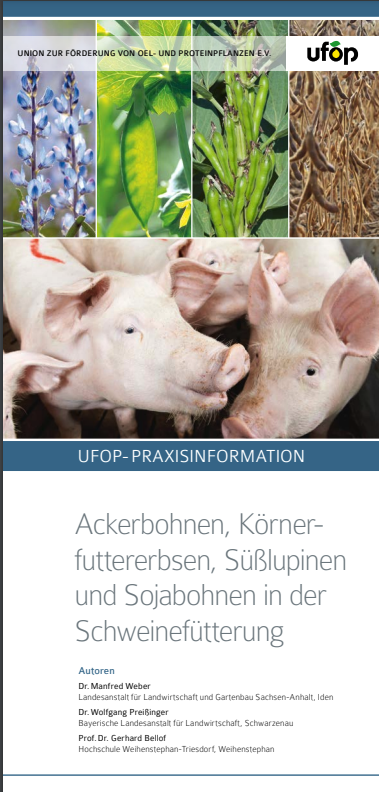 Bildschirmfoto 2025-09-03 um 11.06.23.png